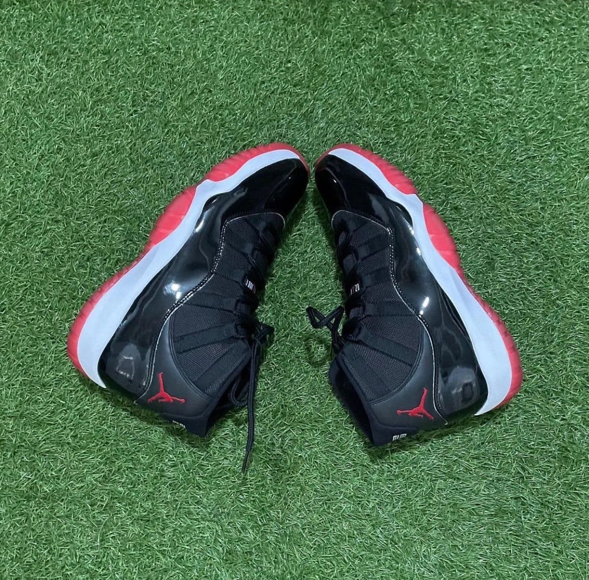 Jordan 11 bred
