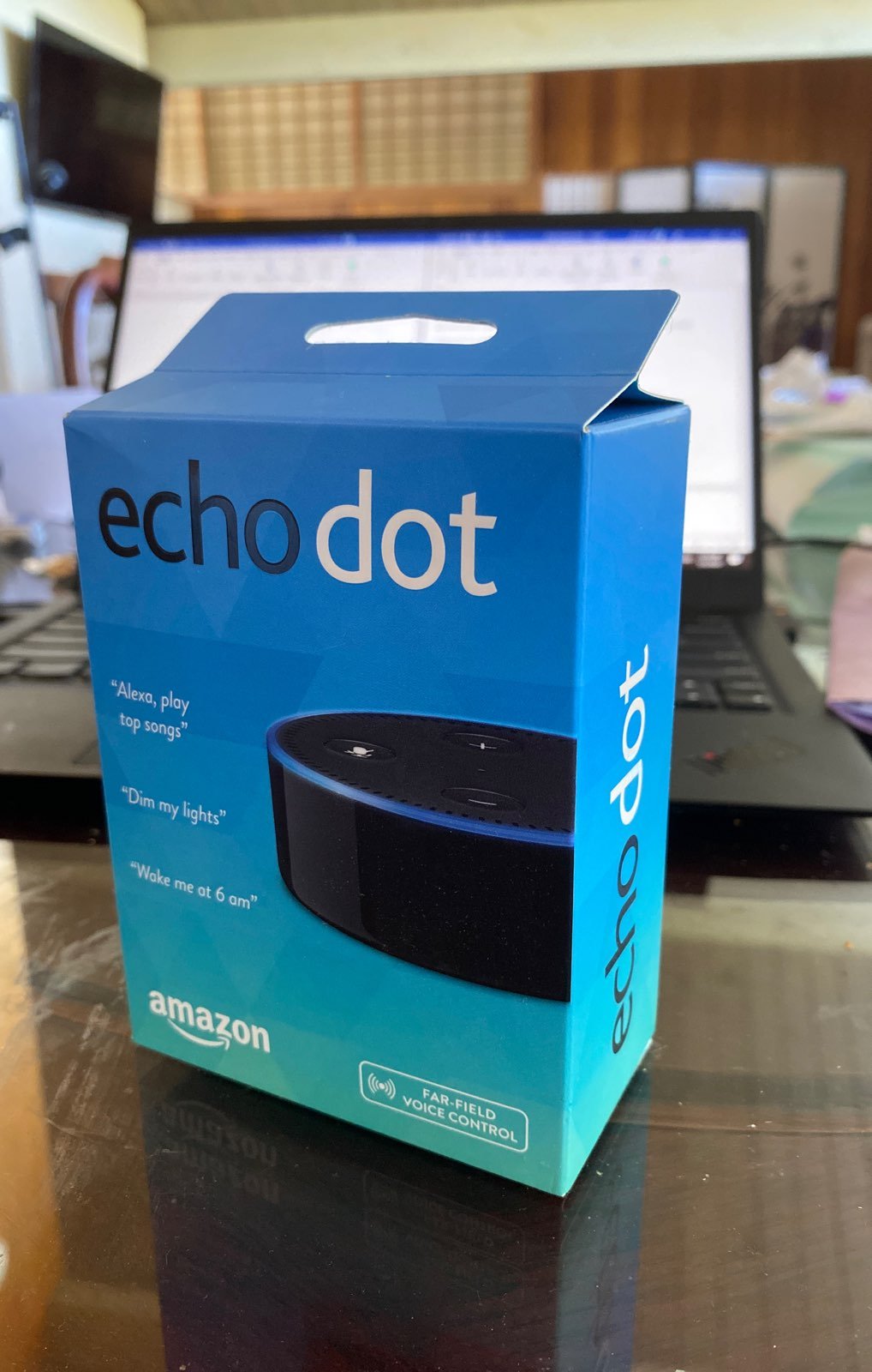 echo dot (Brand New)