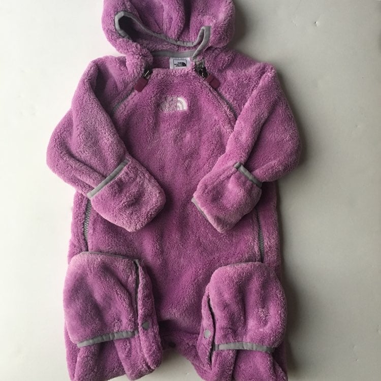 North Face Purple Bunting