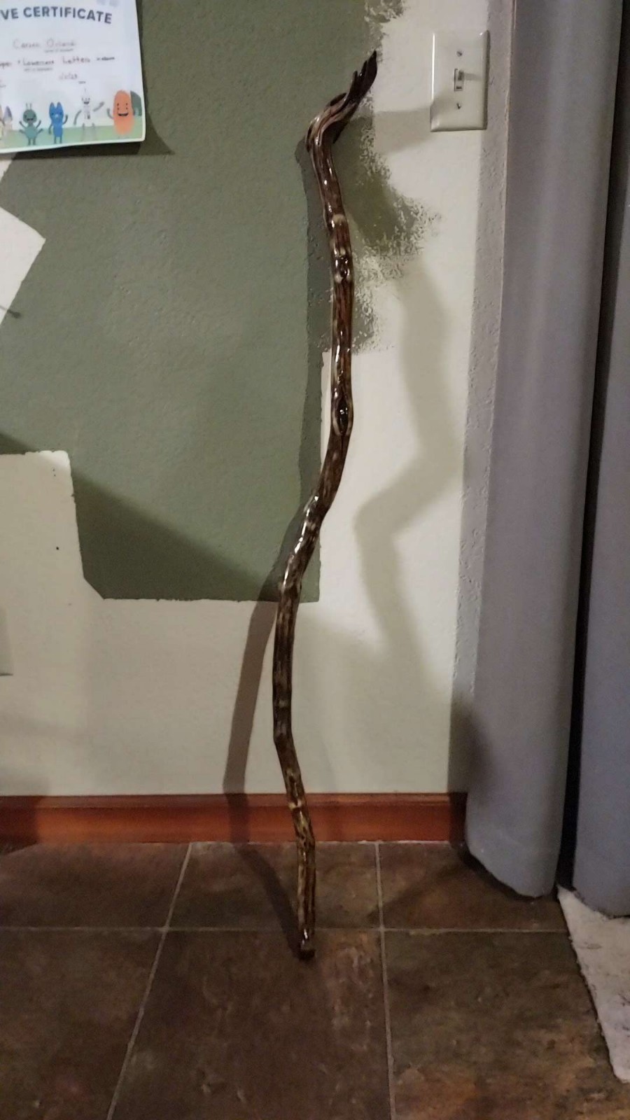 Handmade Manzanita Burl Handle Cane/Walking Stick