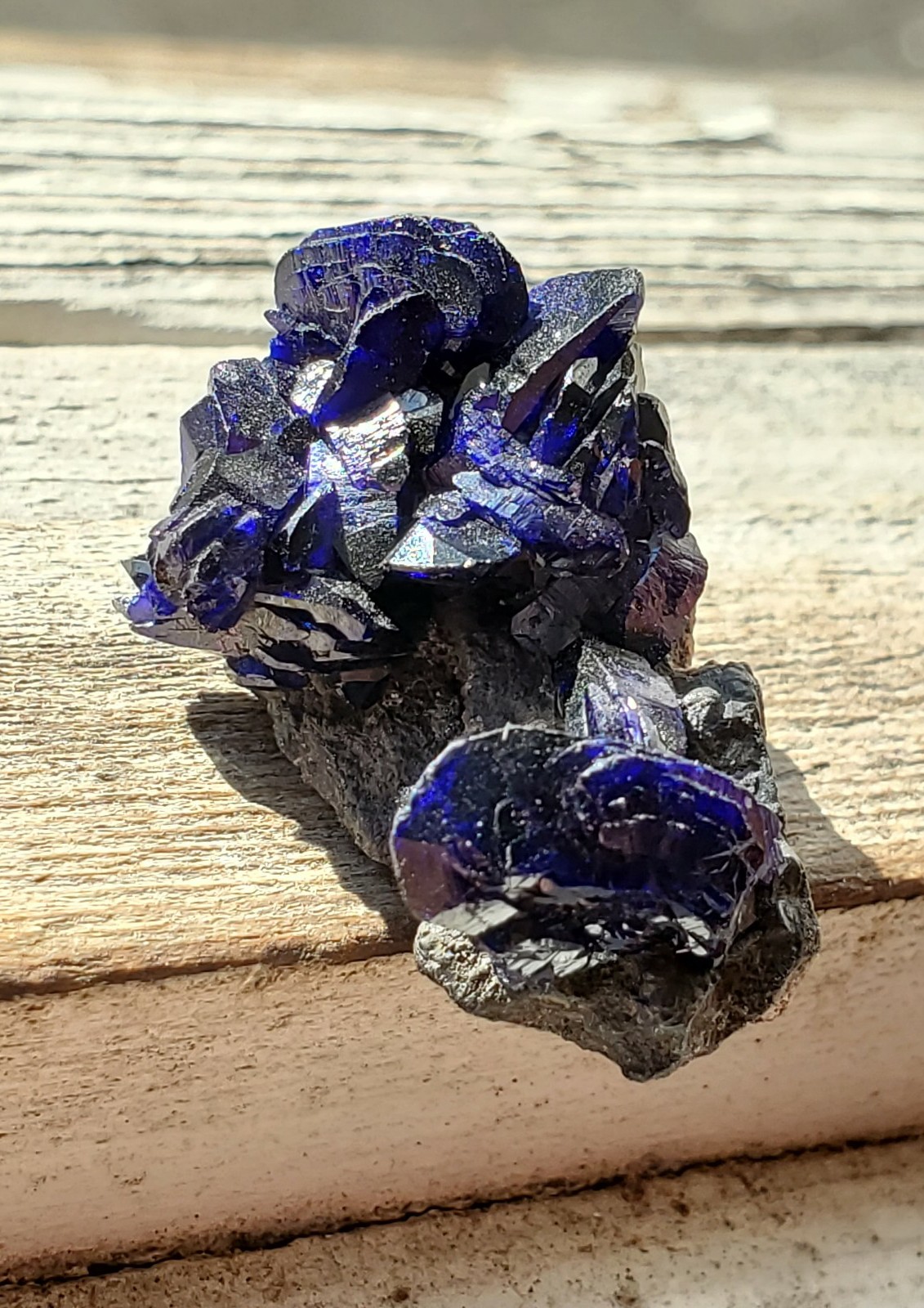 Bladed Azurite Cluster on Matrix, Milpillas Mine, Mexico