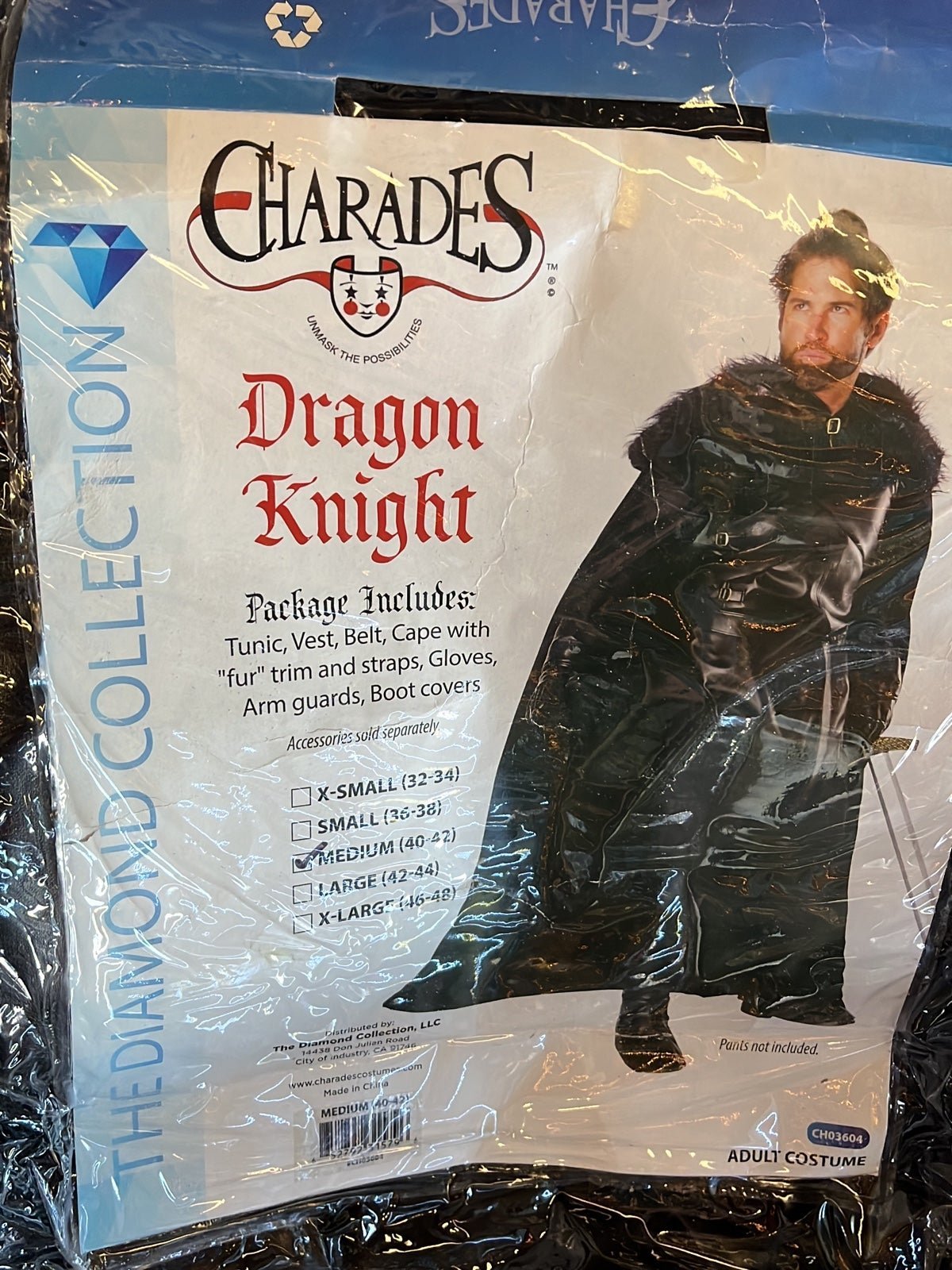 Dragon knight costume