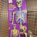 LED 12 ft Skelly Lighting kit LOWEST PRICE AVAILABLE