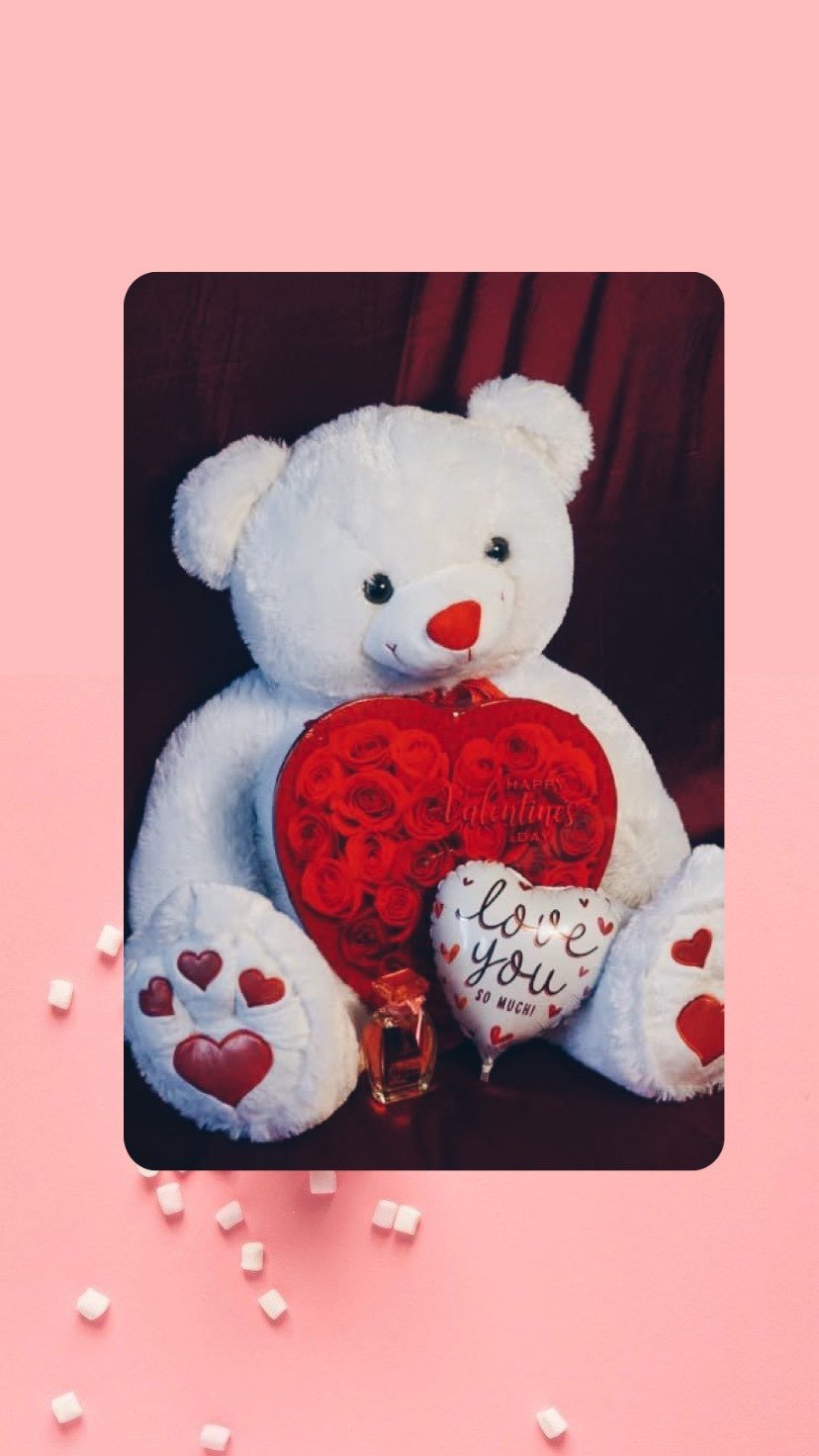 valentines day gift