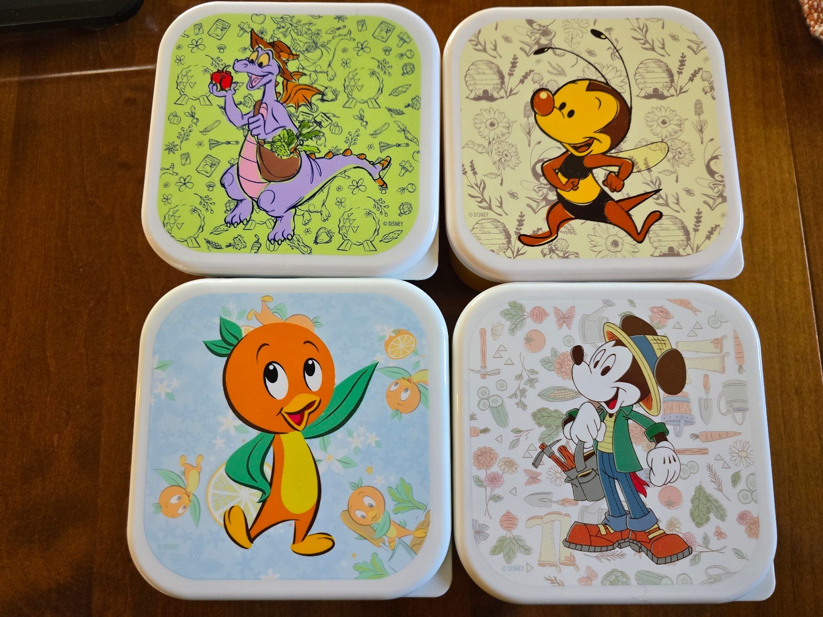 Disney Epcot Flower and Garden 2022 Scavenger Hunt Plastic Container Set