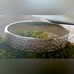 Coach Signature bangle Bracelet - Silver tone - with Coach Hallmark inside