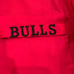 Vintage 1990's Chicago Bulls Jacket XL