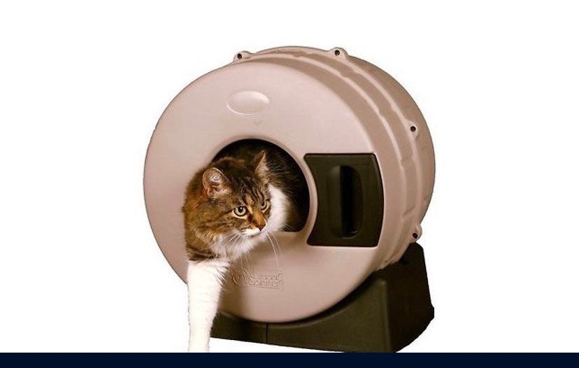 Spinning litter box