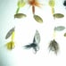 12 Asst Rooster Tail Fr Water SPINNERS Sz 1/8 oz Trout Pan Fish w/Plano Box 1B