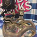 Halloween snake candle/pedestal/plug/tray bundle from Bath & Body Works