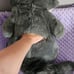 meeko plush puppet large 23 inch