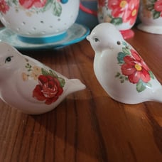 Pioneer Woman Salt and Pepper Shakers