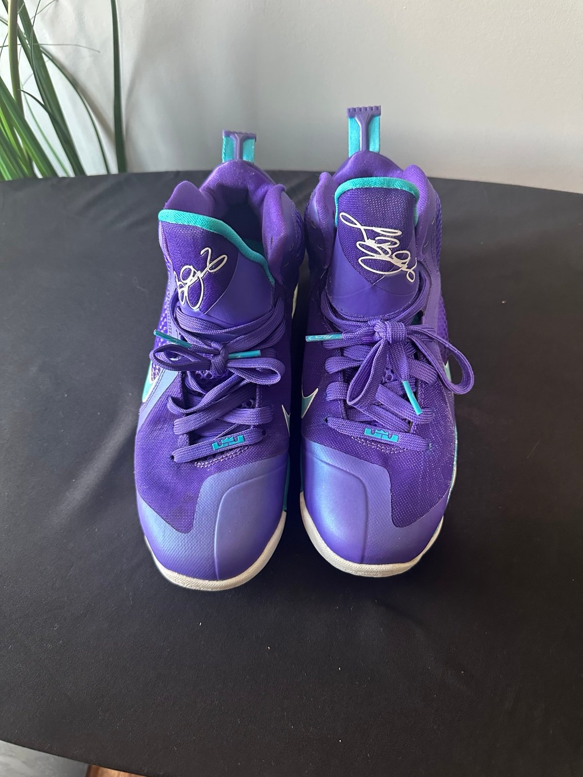 Nike LeBron Summit Lake Sneakers – Kids Size 6.5
