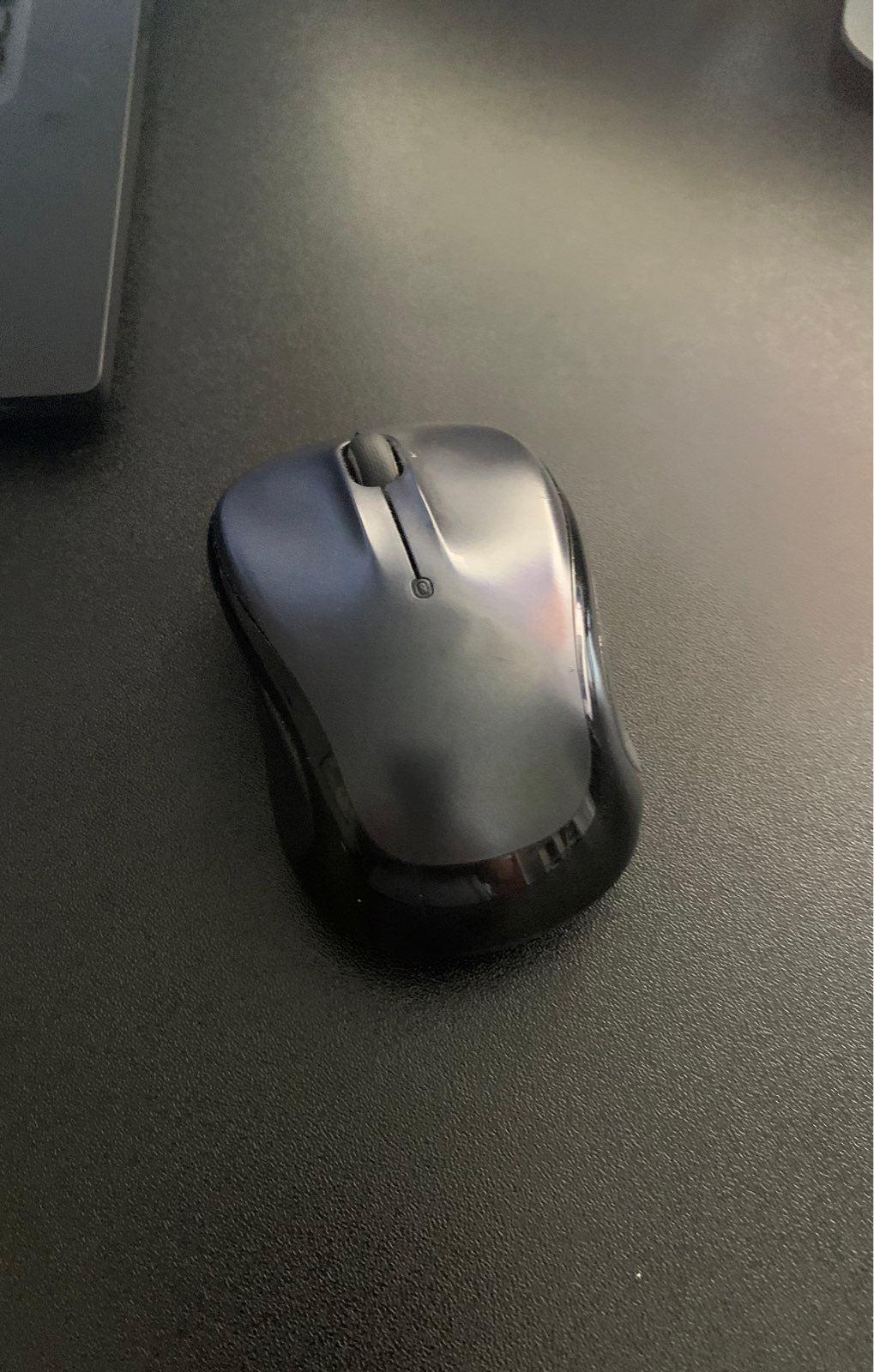 Mouse