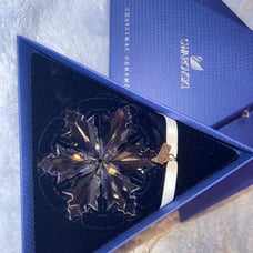Swarovski star ornament