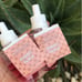BBW Wallflower Refill Market Peach B&BW duo