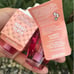 BBW Wallflower Refill Market Peach B&BW duo