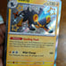 Pokemon Shiny Lot