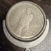 1923 Peace Dollar in Bezel