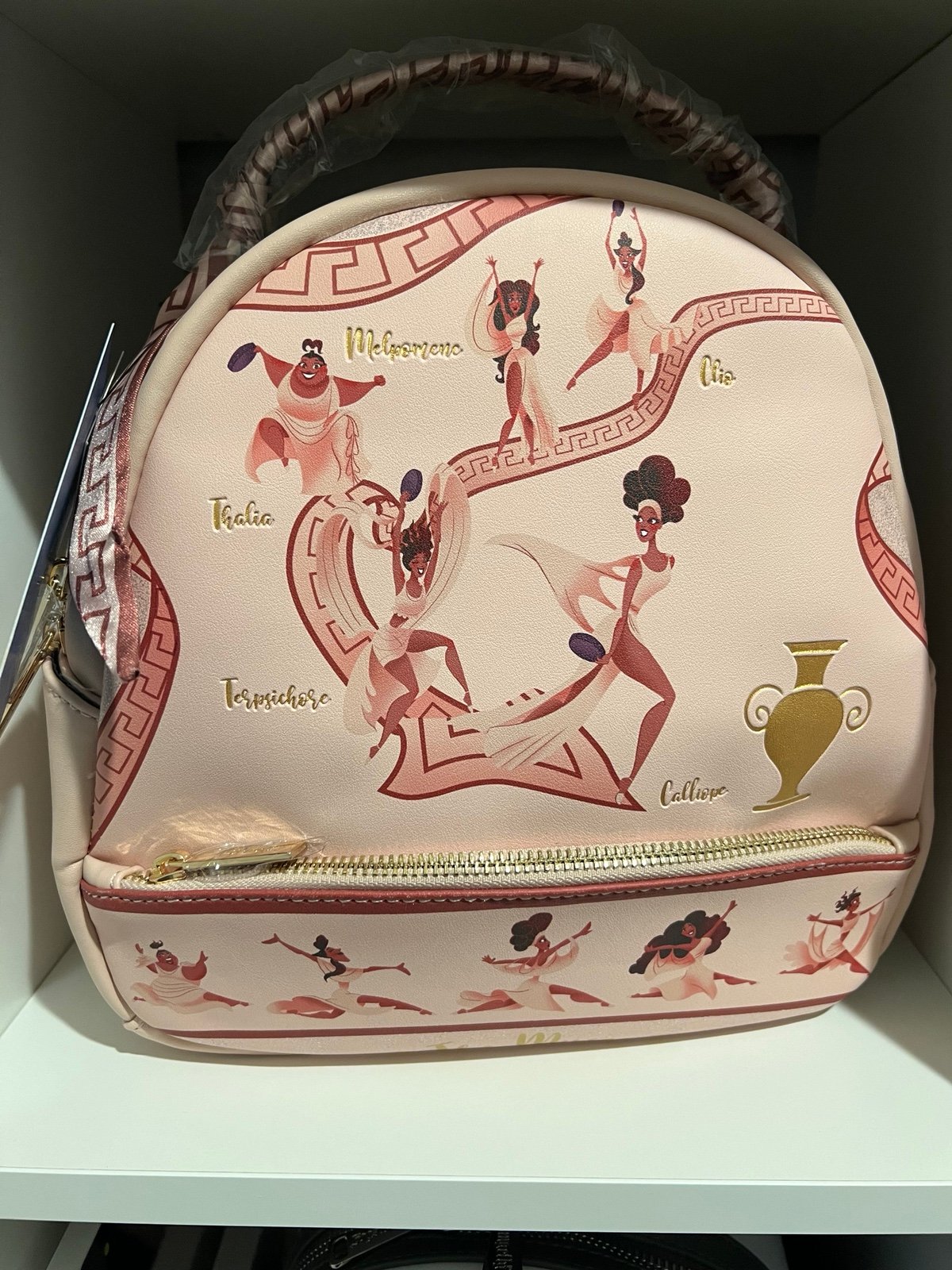 Danielle Nicole Muses backpack