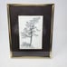 Tsuyoshi Matsumoto 1974 Signed 81 Pencil Drawing Song Of Faith Torrey Pine Tree
