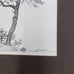 Tsuyoshi Matsumoto 1974 Signed 81 Pencil Drawing Song Of Faith Torrey Pine Tree