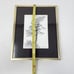 Tsuyoshi Matsumoto 1974 Signed 81 Pencil Drawing Song Of Faith Torrey Pine Tree