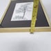 Tsuyoshi Matsumoto 1974 Signed 81 Pencil Drawing Song Of Faith Torrey Pine Tree