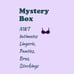 Mystery Box of OVERSTOCK New Unused Intimates- Lingerie, Panties, Stockings etc.