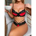 Mystery Box of OVERSTOCK New Unused Intimates- Lingerie, Panties, Stockings etc.
