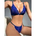 Mystery Box of OVERSTOCK New Unused Intimates- Lingerie, Panties, Stockings etc.