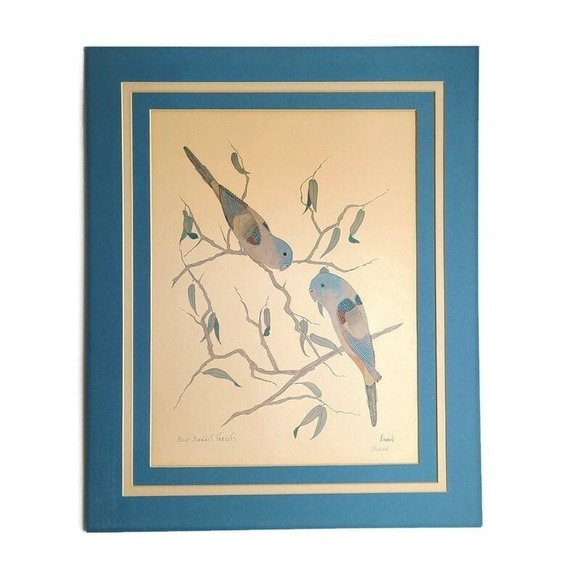 Art Blue Bonnet Parrots Pat Moran Lithograph Print Unframed Signed Titled Birds