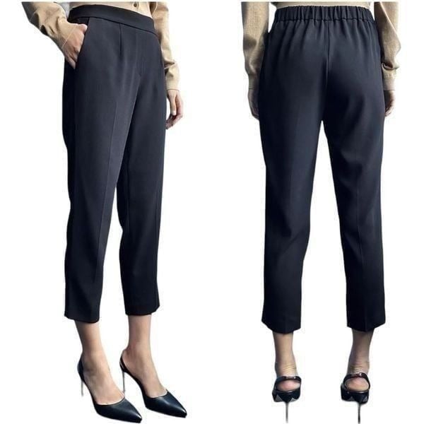 Aritzia Babaton | Cohen Pants Black 4 Cropped Tailored Pleated Dress Pants