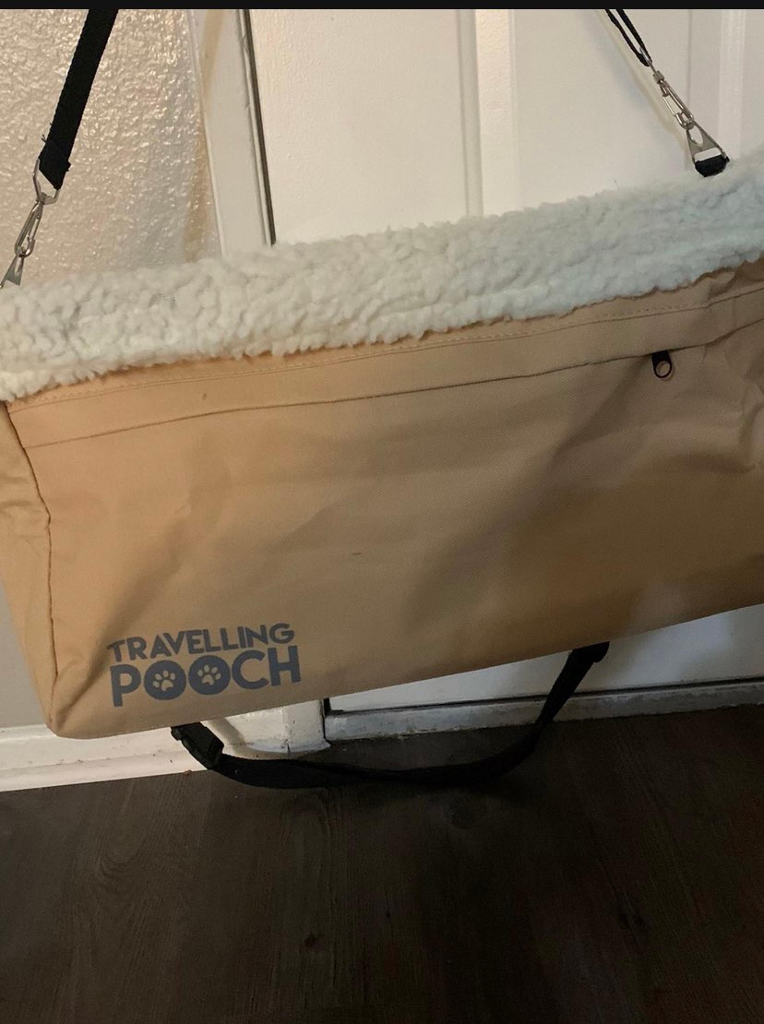 Dog traveling pooch