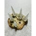 Space Godzilla S.H. Monsterarts Base Part Toy Figure Bandai Japanese