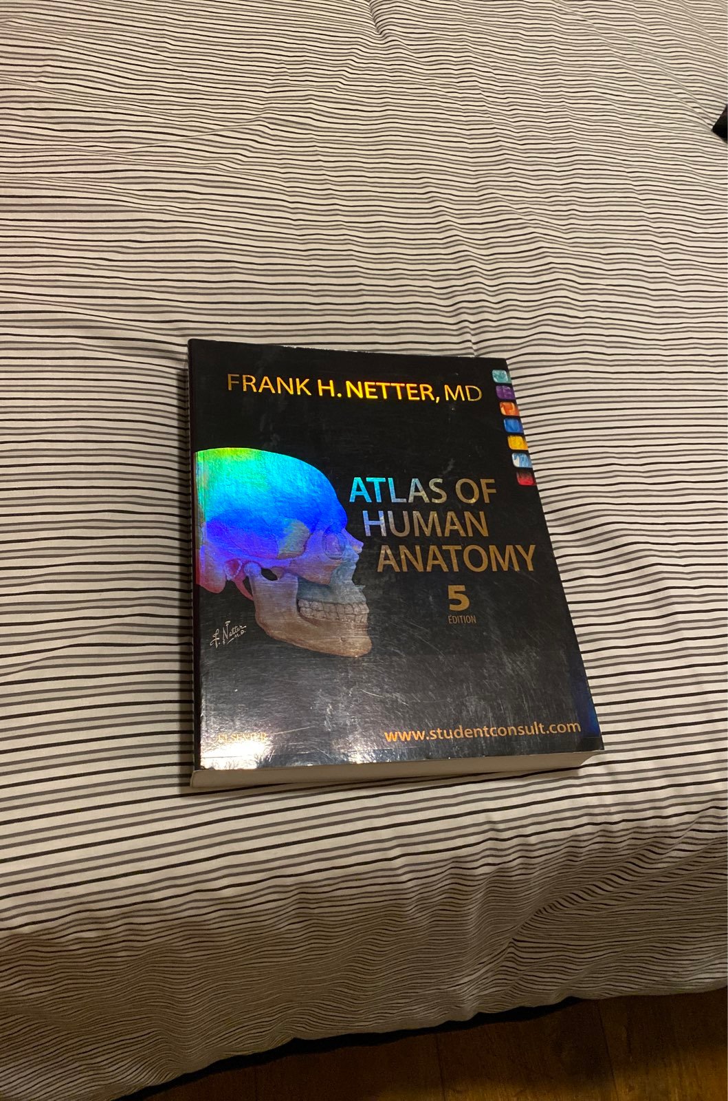 Atlas Of Human Anatomy 5th Edition