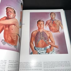 Vintage 1948 - medical The Cuba collection of medical illustrations