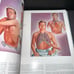 Vintage 1948 - medical The Cuba collection of medical illustrations