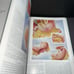 Vintage 1948 - medical The Cuba collection of medical illustrations