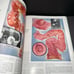 Vintage 1948 - medical The Cuba collection of medical illustrations