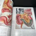 Vintage 1948 - medical The Cuba collection of medical illustrations