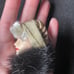 3 Vintage Fur Womens’ Face Brooches