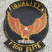 Vintage F100 Elite Quality Patch Cars gearhead Antique club automobile 5 eagle