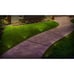 Solar LED IN-Ground 4 Disk Light Pucks I Stainless Finish I Auto Dusk Turn On