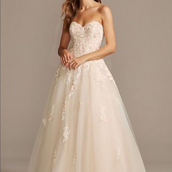 Embroidered Lace Applique Ball Gown Wedding Dress Bundle SZ 6