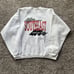 VINTAGE Southeast Missouri State Crewneck Sweatshirt Men's SIZE XL White SEMO