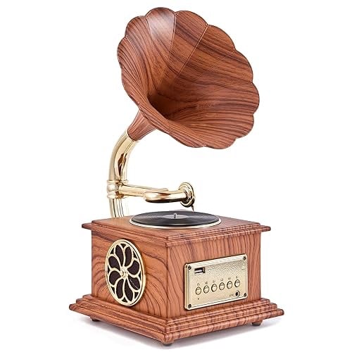 MEAGEAL Mini Phonograph Speaker