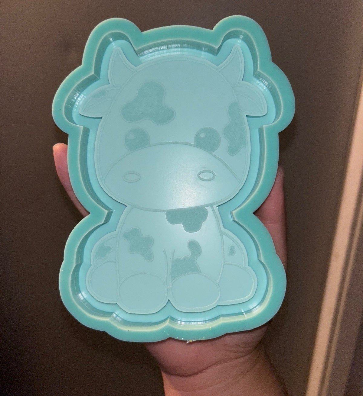 Resin Mold
