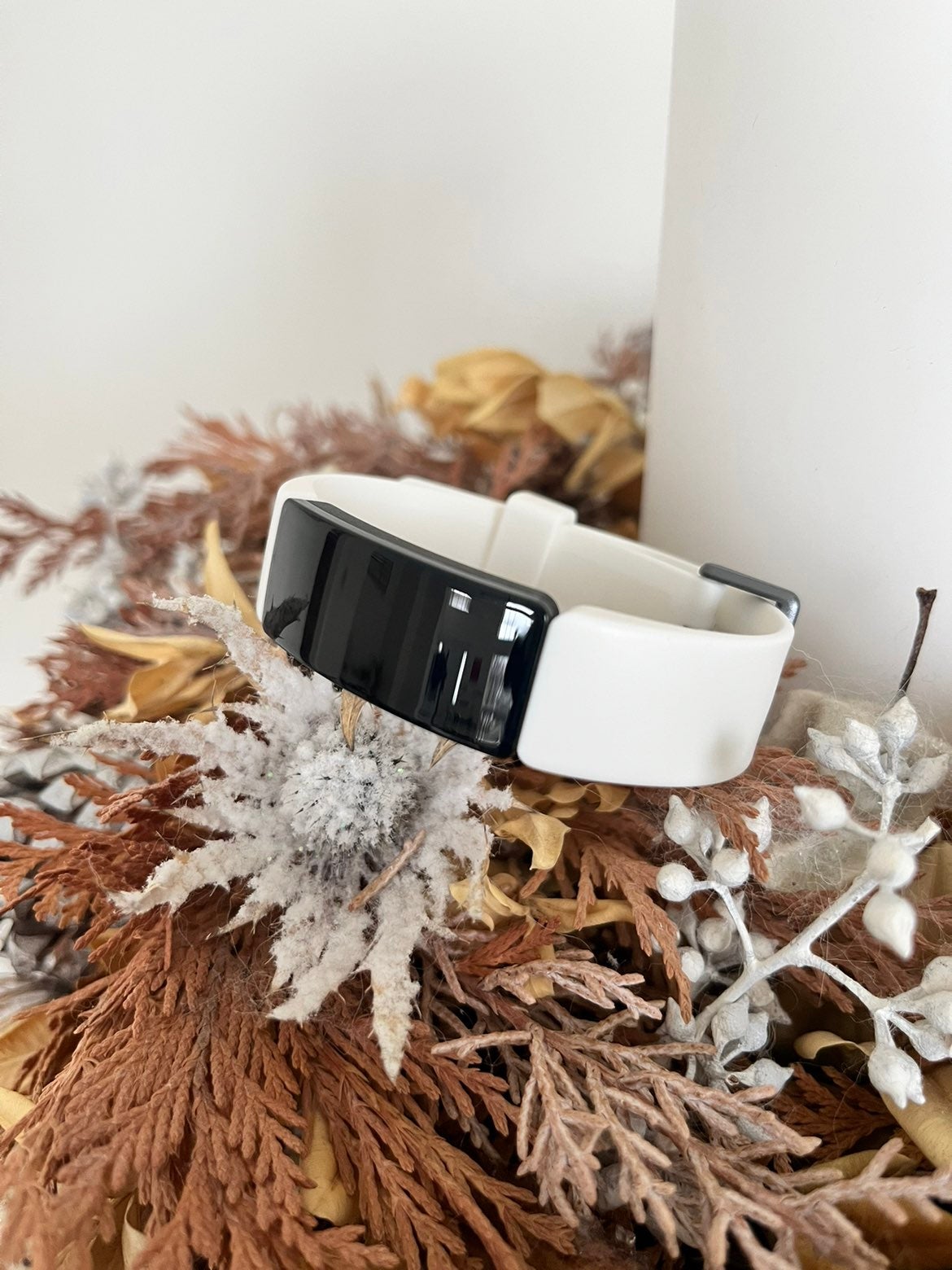 Fitbit inspire 2