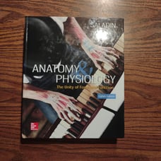 Anatomy & physiology